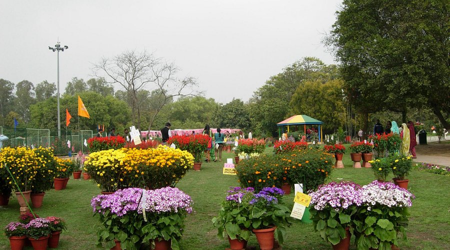 Bhawani Guest House
